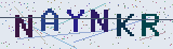 Anti-spam code *