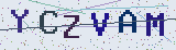 Anti-spam code *