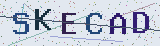 Anti-spam code *