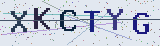 Anti-spam code *