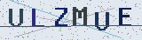 Anti-spam code *