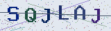 Anti-spam code *