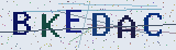 Anti-spam code *