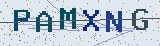 Anti-spam code *