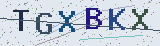 Anti-spam code *