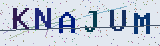Anti-spam code *