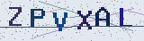 Anti-spam code *