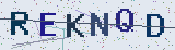 Anti-spam code *