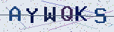 Anti-spam code *