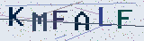 Anti-spam code *