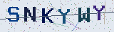 Anti-spam code *