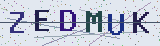 Anti-spam code *