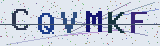 Anti-spam code *