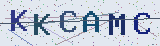 Anti-spam code *