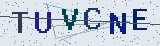 Anti-spam code *