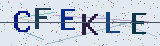 Anti-spam code *