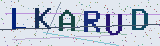 Anti-spam code *