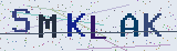 Anti-spam code *