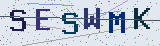 Anti-spam code *