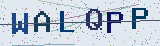Anti-spam code *