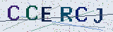 Anti-spam code *