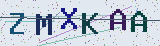 Anti-spam code *