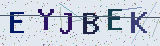 Anti-spam code *