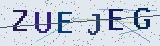 Anti-spam code *