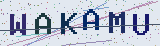Anti-spam code *