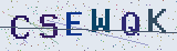 Anti-spam code *