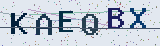 Code anti-spam *