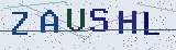 Anti-spam code *