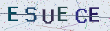 Anti-spam code *