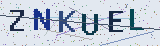Anti-spam code *