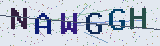 Anti-spam code *