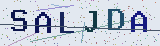 Code anti-spam *