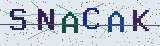 Code anti-spam *