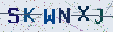 Anti-spam code *