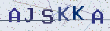 Anti-spam code *