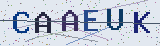 Code anti-spam *