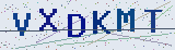 Anti-spam code *