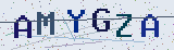 Anti-spam code *